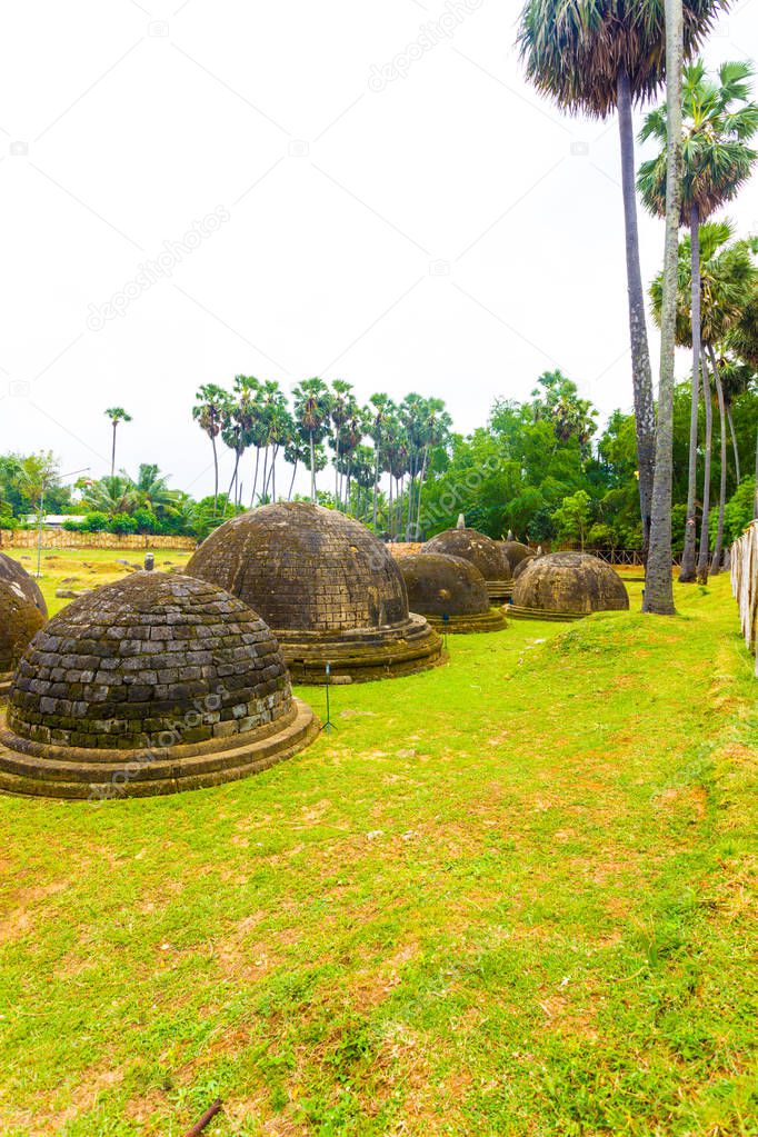 Jaffna Kandarodai Dagobas Stupas Grass Field V