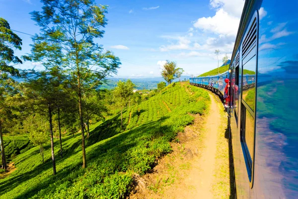 Sri Lanka çay plantasyon Hill Country tren yolculuğu H — Stok fotoğraf