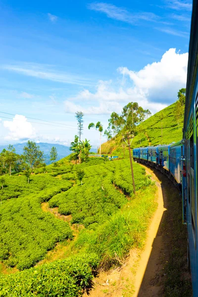 Σρι Λάνκα τσάι φυτεία λόφο χώρα με το τρένο V — Φωτογραφία Αρχείου