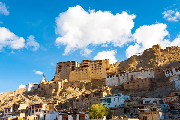 Leh Palace Hill Front View Houses H — Stock Photo, Image
