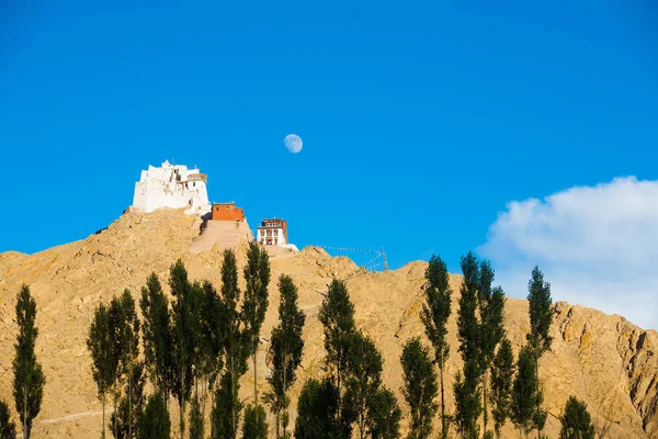 Leh Tsemo linna Gompa Moon Mountaintop H — kuvapankkivalokuva