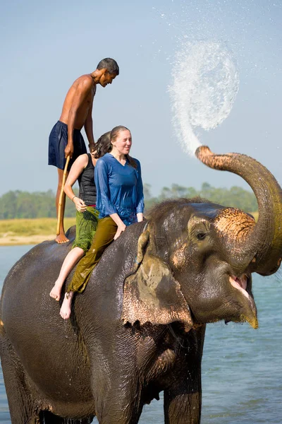 Turistas Femininos Elefante passeio tronco água respingo — Fotografia de Stock