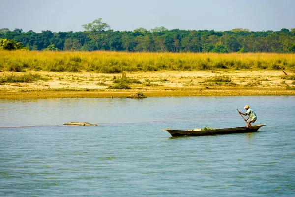 Man Boat Direção Clear River Crocodilo Nepal — Fotografia de Stock