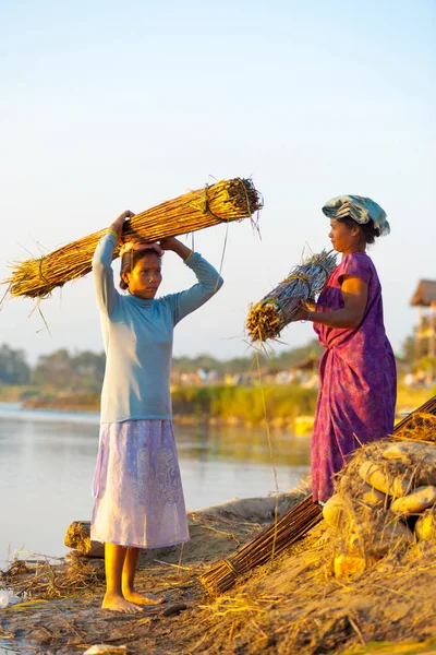 Rural fêmea aldeões carregando pacotes juncos — Fotografia de Stock