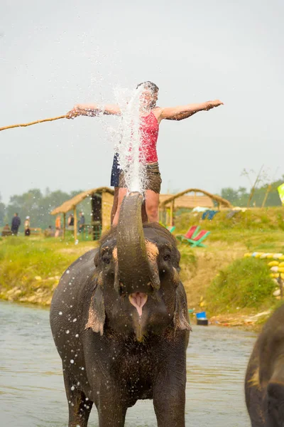 Passeio de elefante turístico Rio Splashing Water Nepal — Fotografia de Stock