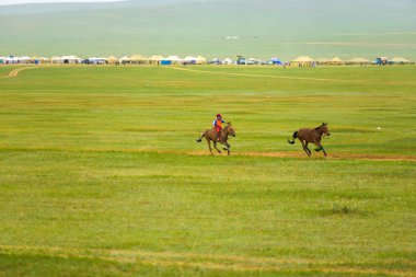 Naadam Festivali çocuk at yarış rekabet