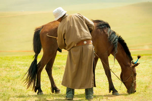 Mongolie homme toilettage cheval steppe — Photo