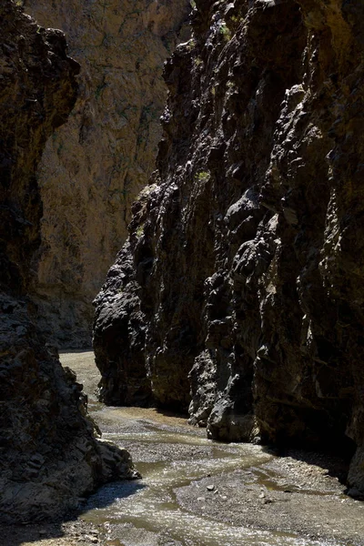 Akbaba Gorge Yolyn Am Moğolistan — Stok fotoğraf