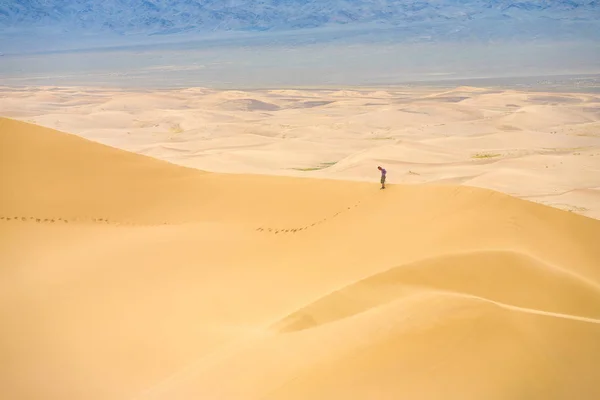 Khongor Els Sand Dune Top Person Comparative Scale — Stock Photo, Image