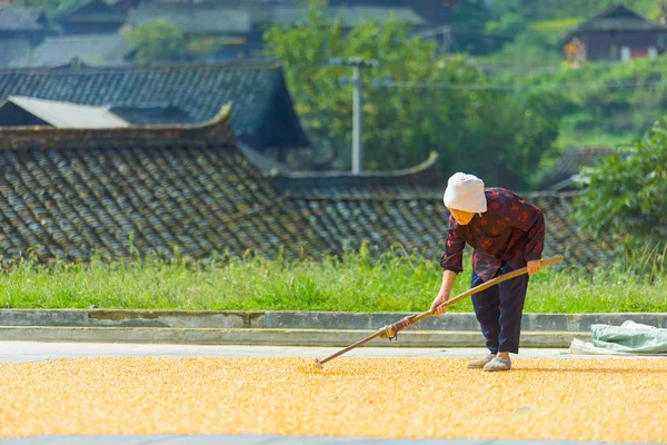 Velho chinês fêmea agricultor secagem milho aldeia — Fotografia de Stock