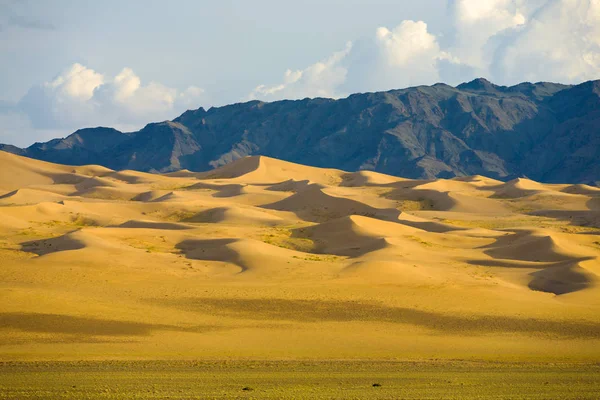 Khongor Els piasku wydmy pustyni Gobi w Mongolii — Zdjęcie stockowe