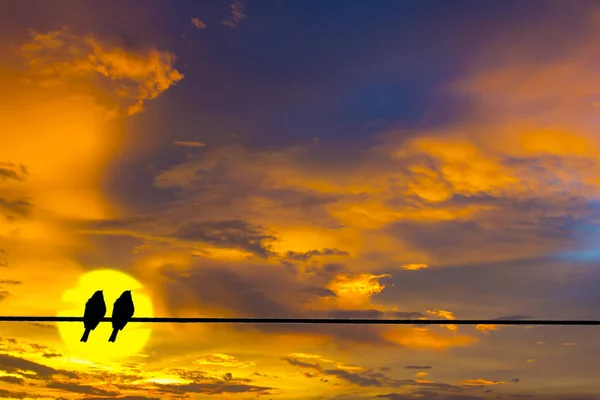 Dämmerhimmel und Silhouette von Zwillingsvögeln auf der Kabelleitung. — Stockfoto