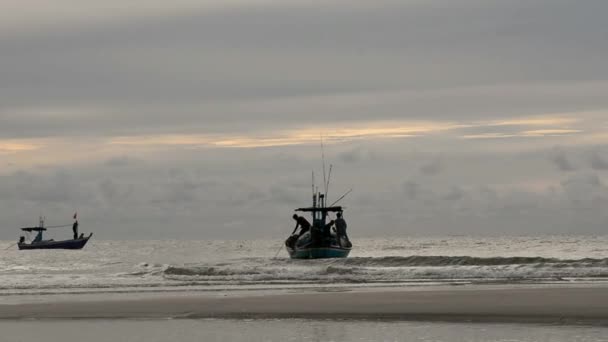 Visser leven op het strand — Stockvideo