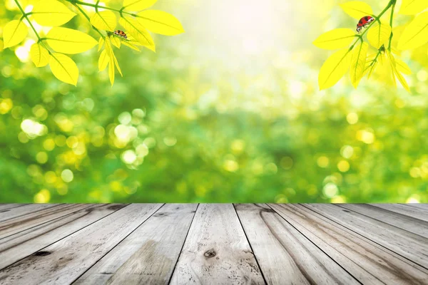 Mesa de madera con hojas verdes colgando con mariquita — Foto de Stock