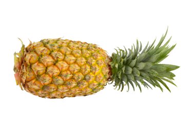 Beyaz arka plan üzerinde izole çam elma.