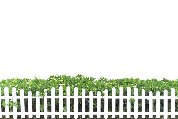 İzole yeşil ağaçları ile süslenmiş beyaz çit.