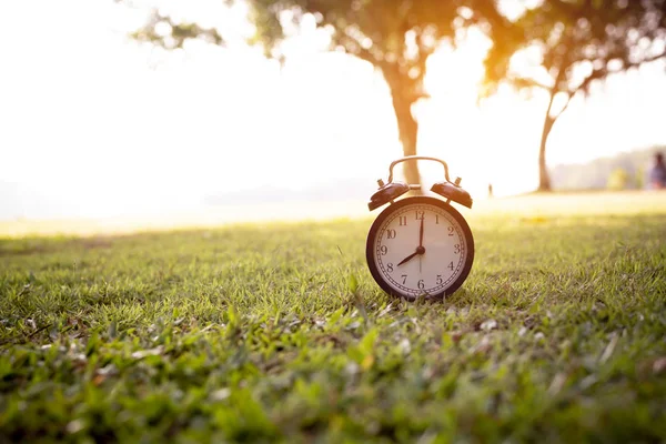 Retro çalar saat yeşil yerleştirilir