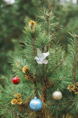 Güzel bir Noel ve yeni yıl arkaplanı. Açık havada, köknar ağacının dallarında Noel topları asılı. Tatil tebriği ve davetiye kartı.
