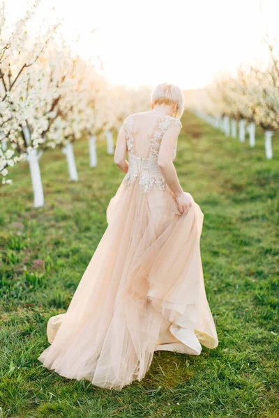 Vue arrière de belle jeune mariée blonde mignonne robe rose pâle inélégante, marchant près des arbres avec des fleurs en fleurs dans le jardin le jour ensoleillé du printemps — Photo