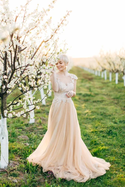 L'image d'une belle mariée dans un jardin fleuri, debout près de l'arbre à fleurs. Promenade printanière dans jardin fleuri — Photo