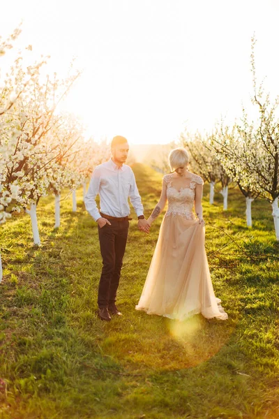 Joven pareja feliz boda en el amor al aire libre en un paseo en un jardín de frutas floreciente primavera. Mujer en elegante vestido naranja claro cogido de la mano con su hombre guapo — Foto de Stock