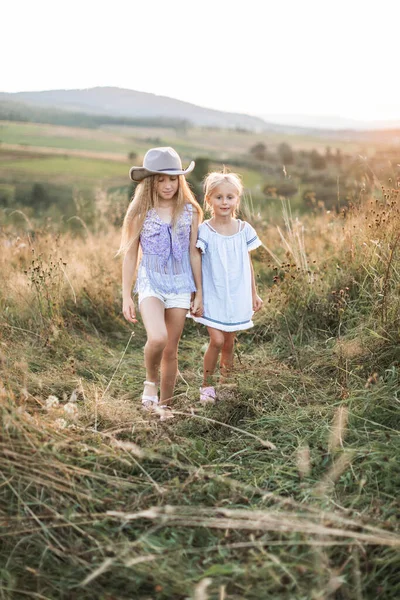 夏は野の花の畑を日光と共に歩きながら手を取り合い、楽しい2人の白人の子供 — ストック写真