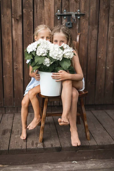 Two cute little girls sisters sitting on the chair and holding together white bucket with white hydrangea flowers, hiding their faces behind the flowers and smiling. Wooden wall barn on the background — Stock Photo, Image