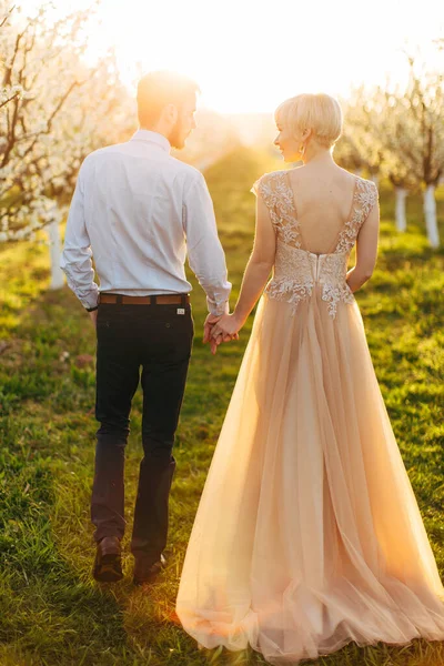 Dos pleine longueur portrait de luxe heureux couple de mariage tenant la main et la marche, magnifique mariée en robe rose, moment romantique tendre au jardin de printemps avec des arbres en fleurs — Photo