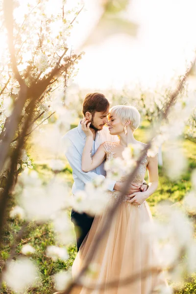 Birbirine aşık düğün çifti güneşli bahar gününde bahçede çiçek açan erik ağacının yanında duruyor. Romantik bir buluşmanın tadını çıkarıyor ve çiçek mevsiminde yürüyor. Çiçek açan bahçede bir çift — Stok fotoğraf