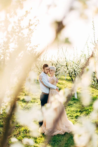 Impresionante linda pareja enamorada en el jardín de árboles en flor en el soleado día de primavera. Hombre y mujer abrazándose y disfrutando del momento. Vista a través de la rama floreciente del árbol —  Fotos de Stock