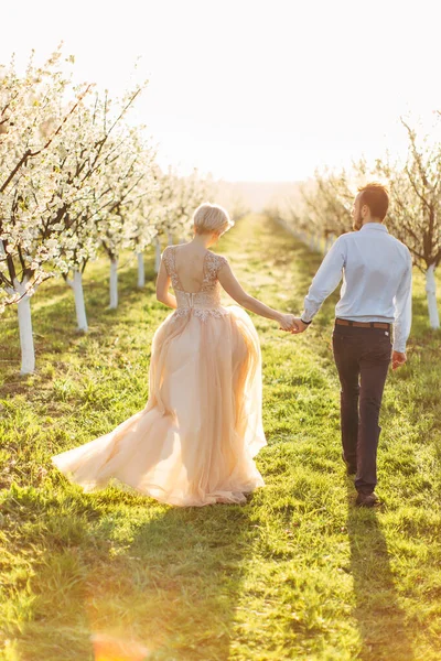 Baksidan full längd syn på romantiska par man och kvinna i vår blommande trädgård, hålla händerna och gå tillsammans mellan rader av blommande träd. Lycka, kärlek, lyckliga stunder — Stockfoto