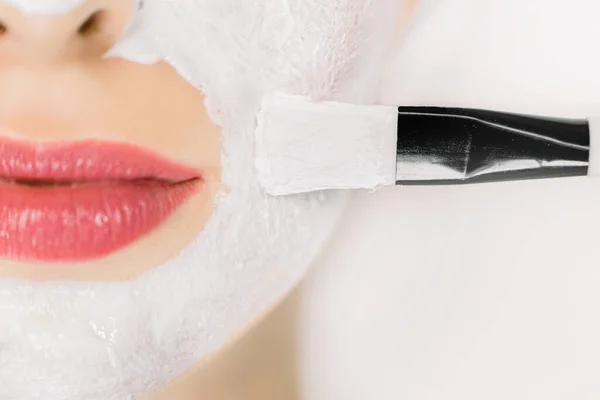 Spa huidverzorging therapie voor jonge vrouw ontvangen modder gezichtsmasker bij schoonheidssalon. Gewassen macro beeld van een deel van vrouwelijke gezicht en cosmetica borstel aanbrengen gezichtsmasker in de buurt van lippen en neus — Stockfoto