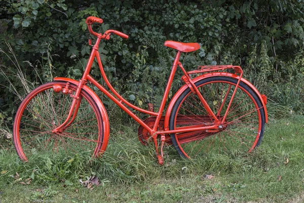Bicicleta roja en el Forestal — Foto de Stock