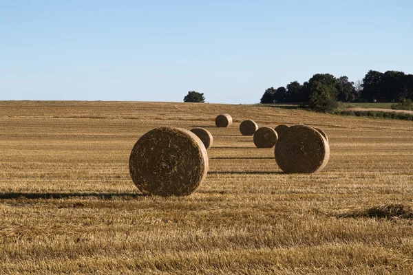 Strohballen — Stockfoto