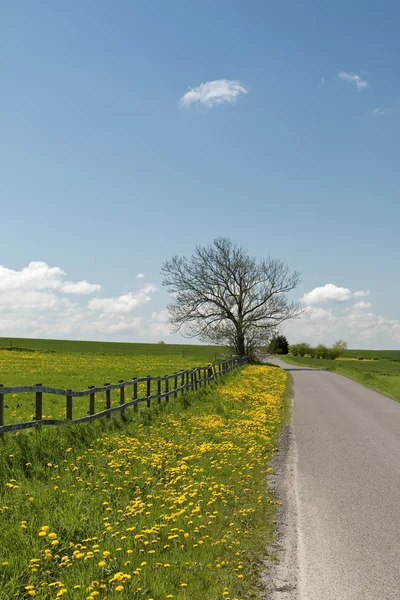 Country Road with Fence — Stock Photo, Image