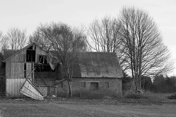 Après la tempête — Photo