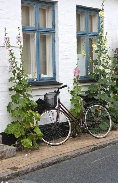 Bicicleta no Hollyhocks — Fotografia de Stock