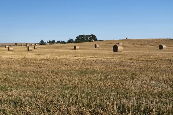 Strohballen — Stockfoto