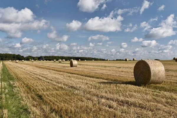 Strohballen — Stockfoto