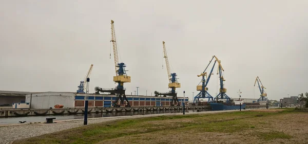 Cranes at the Port — Stock Photo, Image
