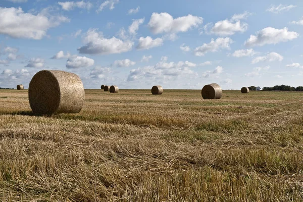 Strohballen — Stockfoto