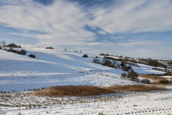 Paesaggio invernale danese Immagine Stock