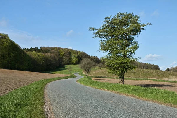 Estrada rural pequena — Fotografia de Stock