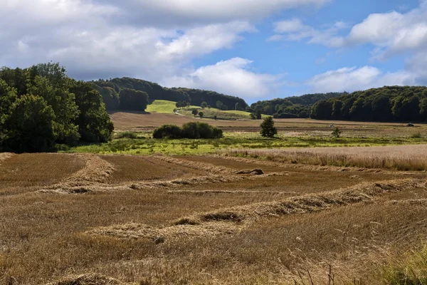 Getreidefelder nach der Ernte — Stockfoto