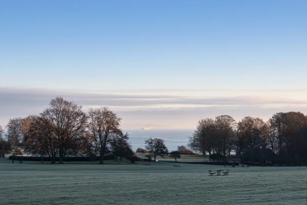 Morning in the Park — Stock Photo, Image