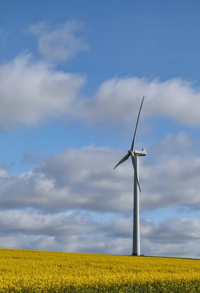 Turbina Wiatrowa Polu Nasion Rzepaku — Zdjęcie stockowe