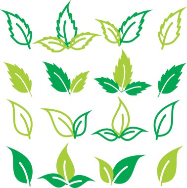 Vektör yaprak döken ağaçlar ayarlayın. Ağaç ve yaprak küçük resim.