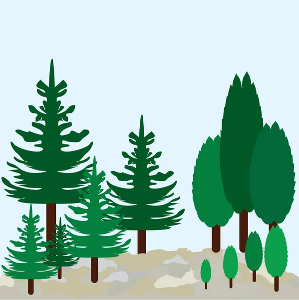 Vector graphic  landscape or pines and cypress — Stock Vector