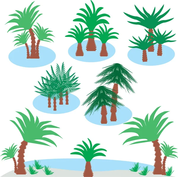 Palmiye ağaçları ile ada bakın. Farklı palmiye ağaçları — Stok Vektör