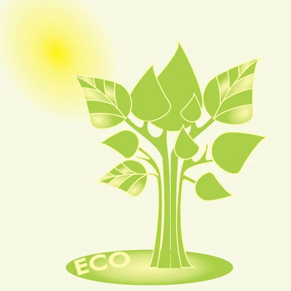 Concepto ecológico. Árboles vectoriales con hojas verdes, Sol en el fondo — Vector de stock